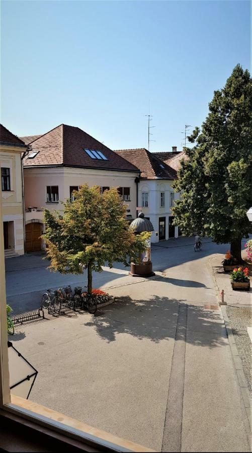 Luxury Apartment In The Heart Of Varaždin 外观 照片